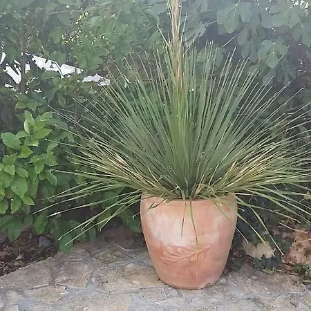 Kuca Mari * Grohote
