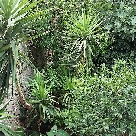 بيت للعطل Kuca Mari Grohote